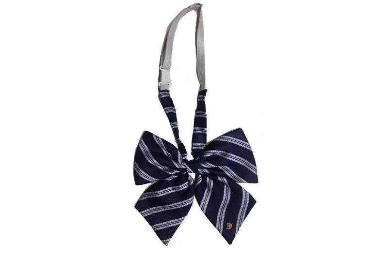 EXBOT21001 Marineblaue modische Fliege aus Polyester-Jacquard
   